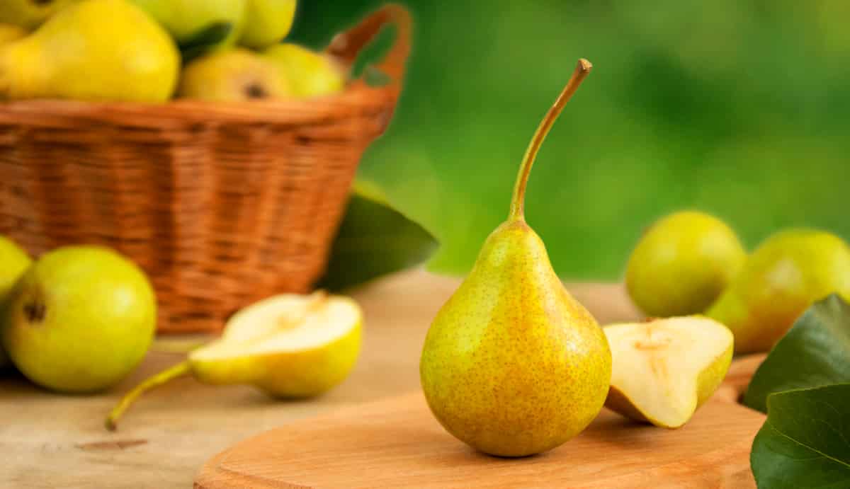 Características e benefícios da pera