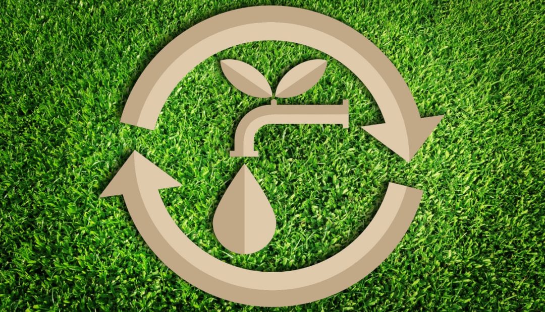 Reúso de água na agricultura: como implementar essa prática?