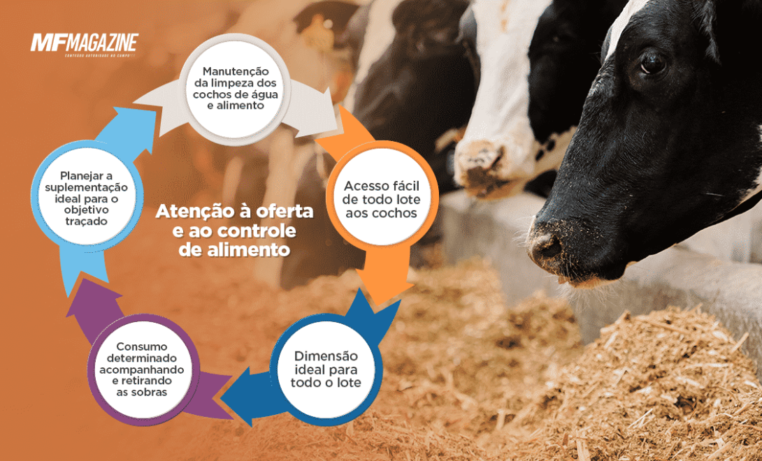 Relação ideal de oferta de alimento no cocho