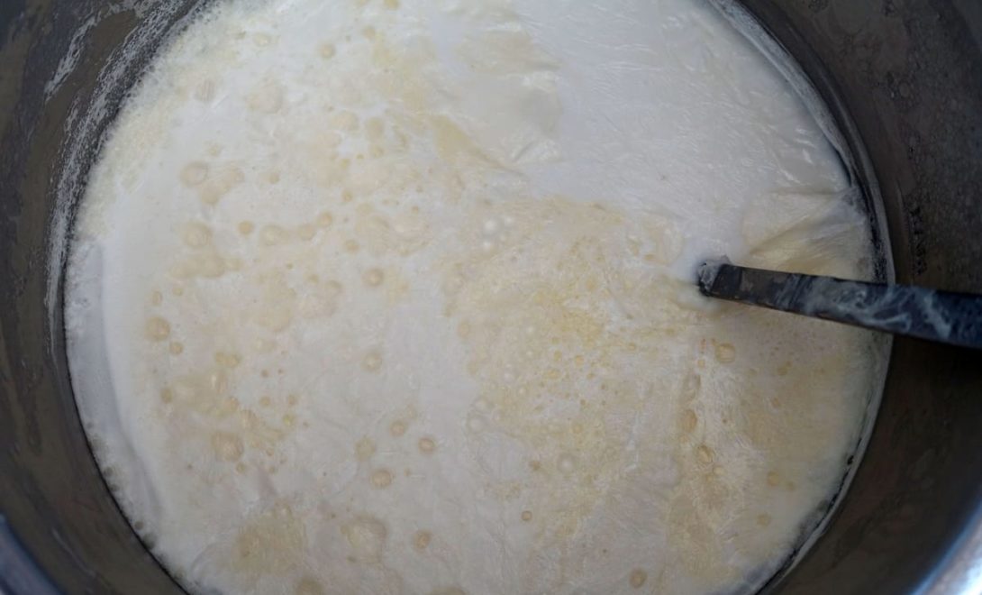 Leite rico em gordura