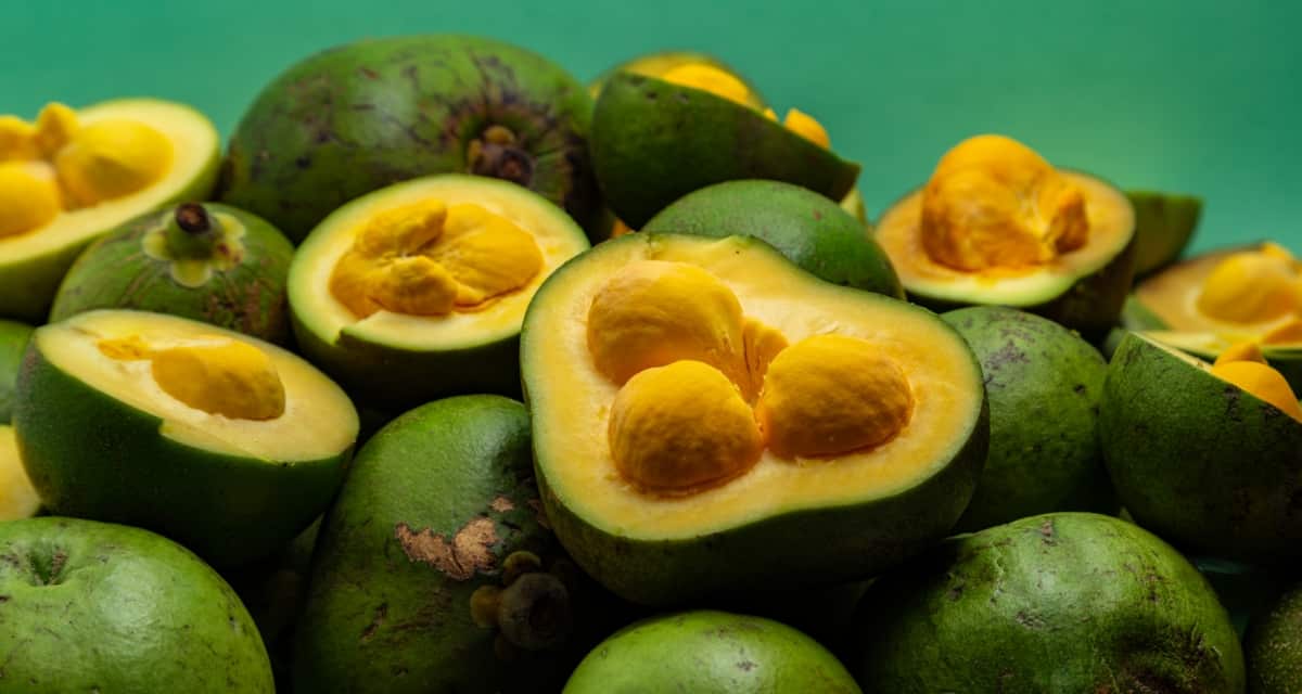 Frutos de pequi, alguns inteiros e alguns abertos, com casca verde e polpa amarela
