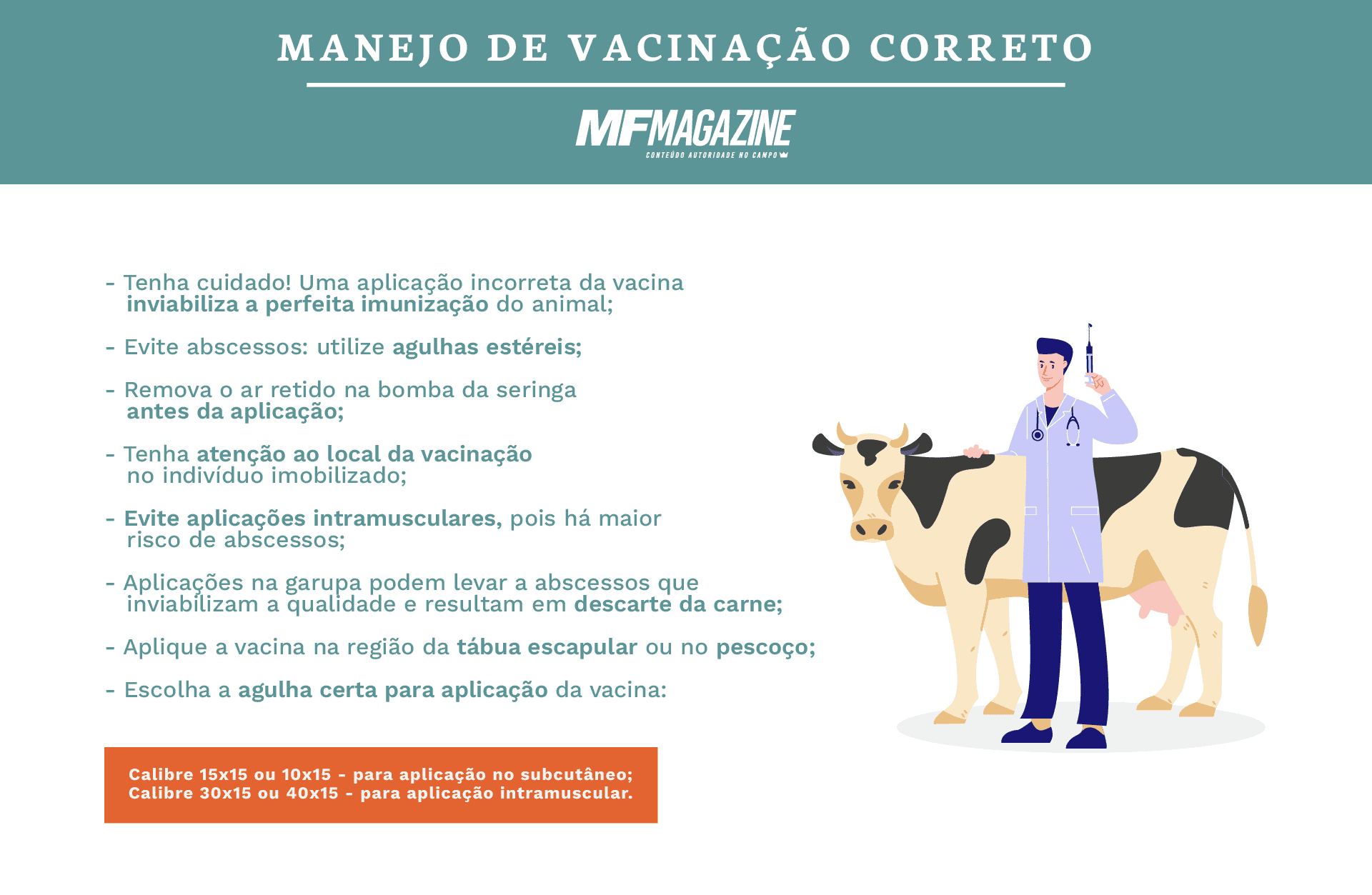 Infográfico de manejo correto de vacinação
