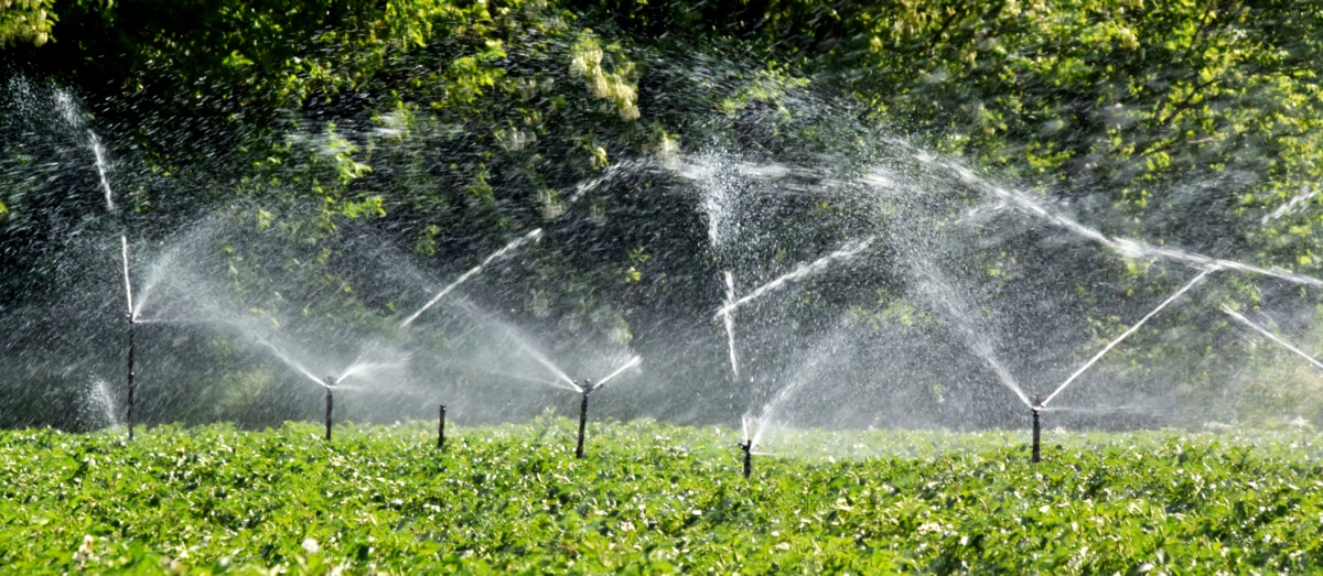Lavoura com irrigação conceito de reúso de água