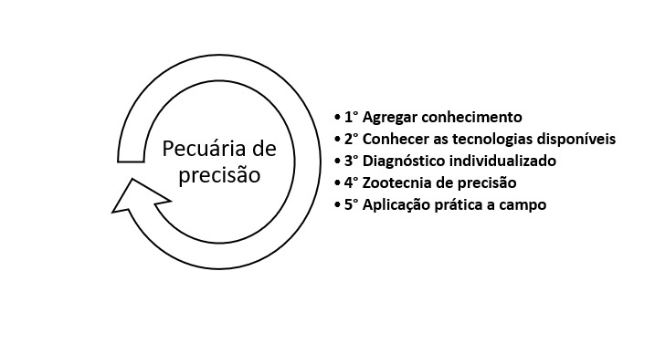Esquema demonstrando as etapas da pecuária de precisão
