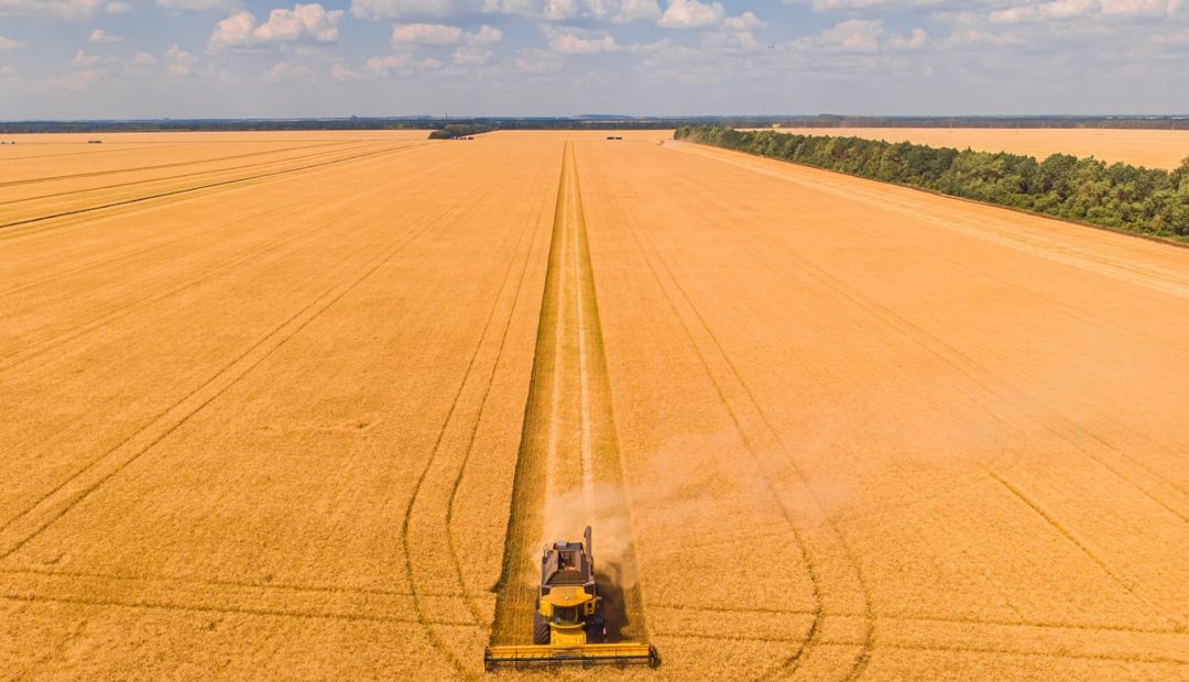 Evolução das colhedoras e sua importância na agricultura