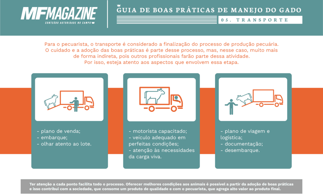 Infográfico boas práticas no transporte do gado
