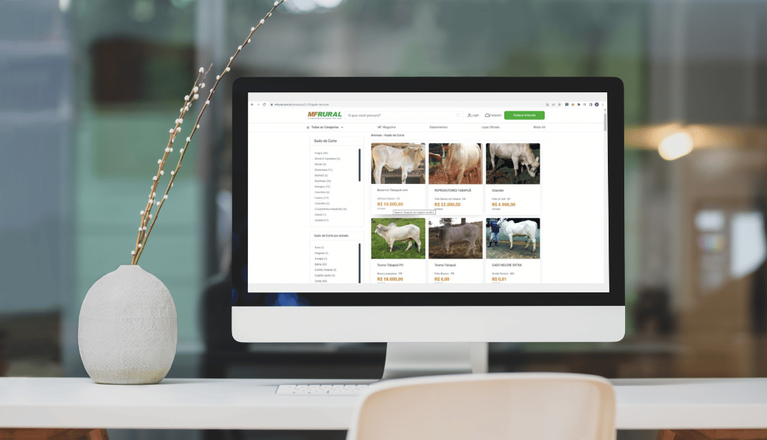Mockup do site MF Rural com descrição alternativa de imagens