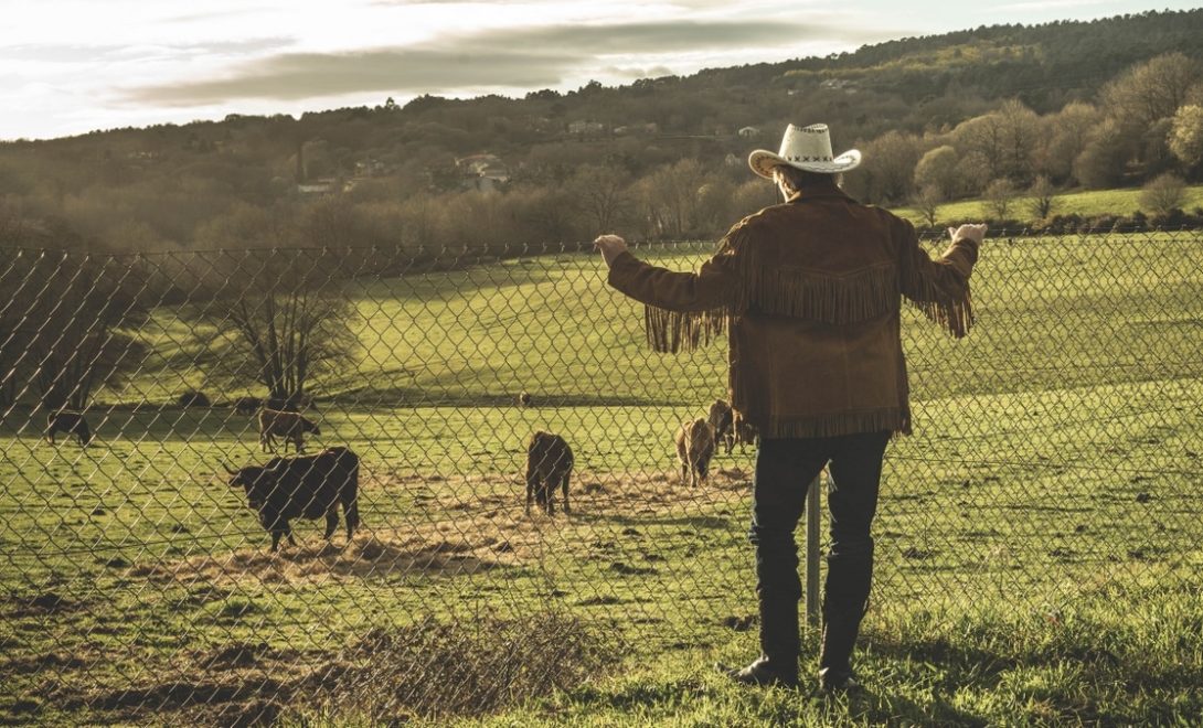 Pecuarista encostado em uma cerca, olhando seus animais soltos no pasto, com árvores ao fundo