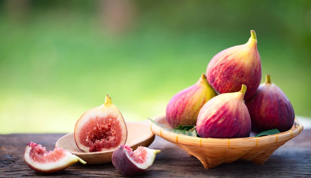 Figo: aprenda como plantar, dicas de cultivo e curiosidades