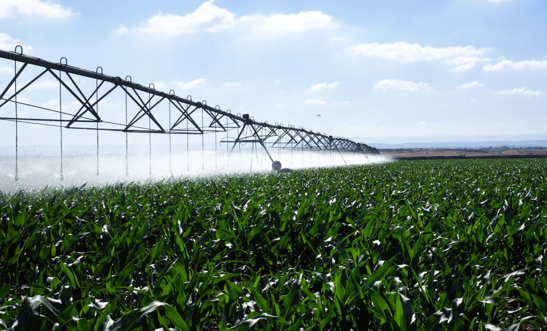 Sistema de irrigação por pivô central em funcionamento em cultura de milho