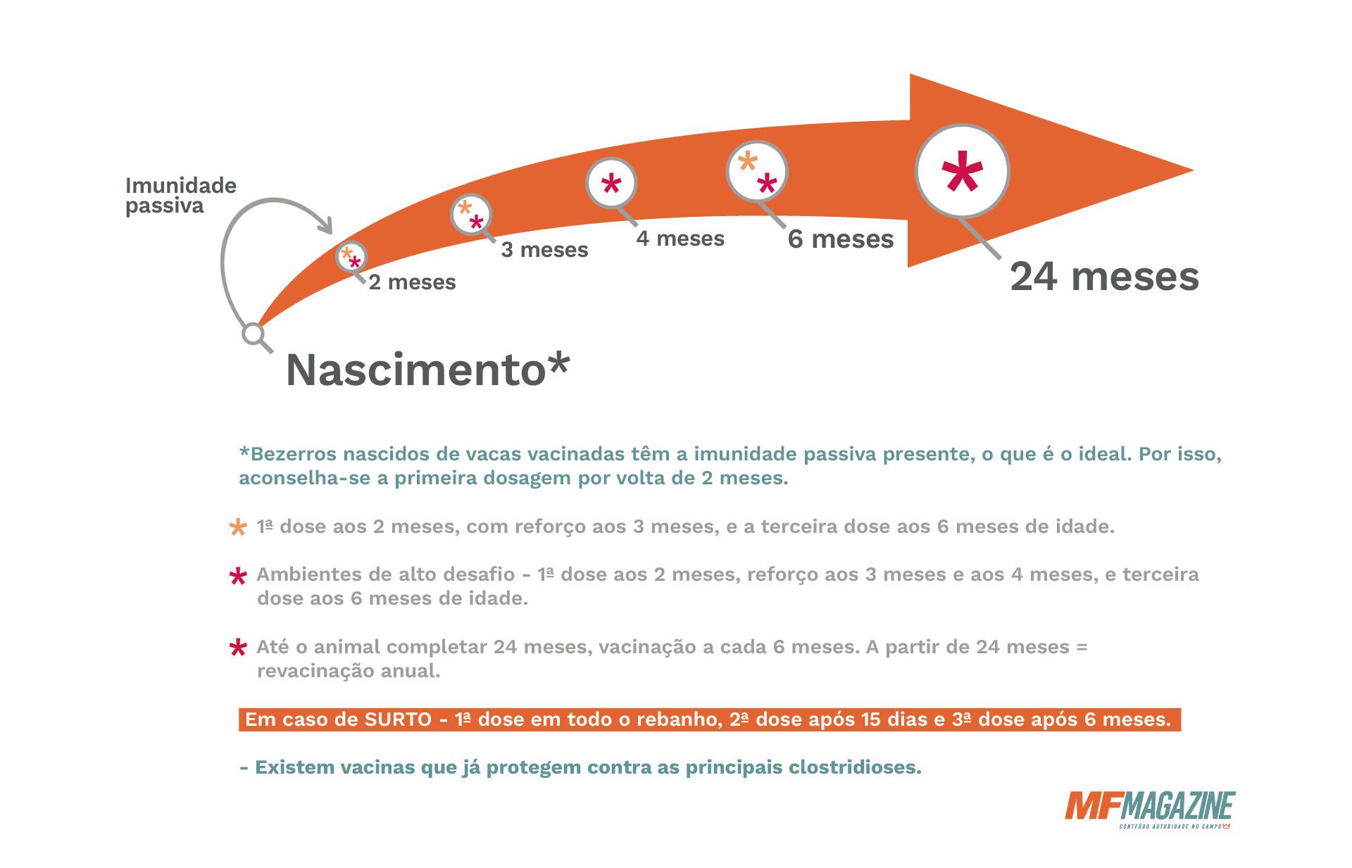 Infográfico com as recomendações de imunização dos animais