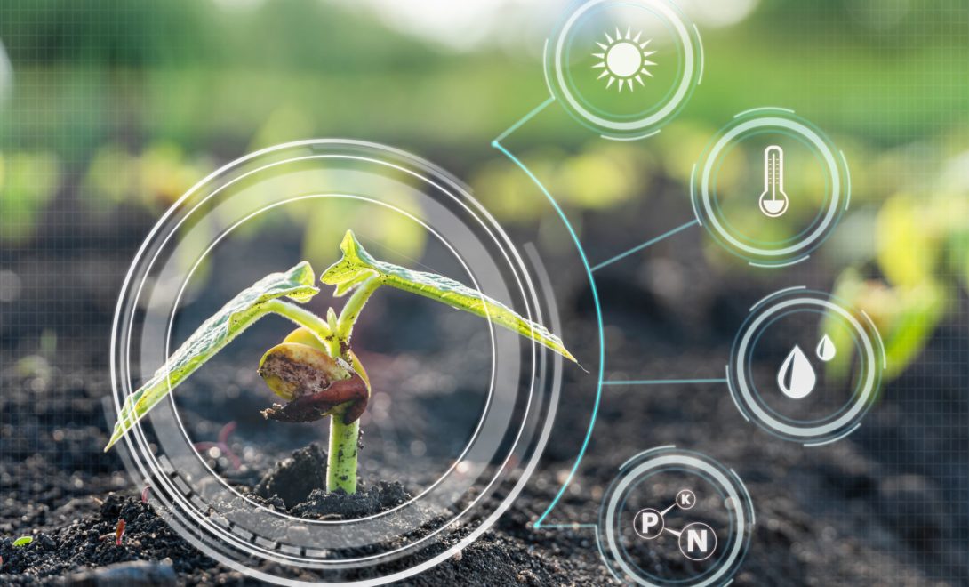 Muda pequena no solo com ícones de temperatura, umidade e fertilizantes
