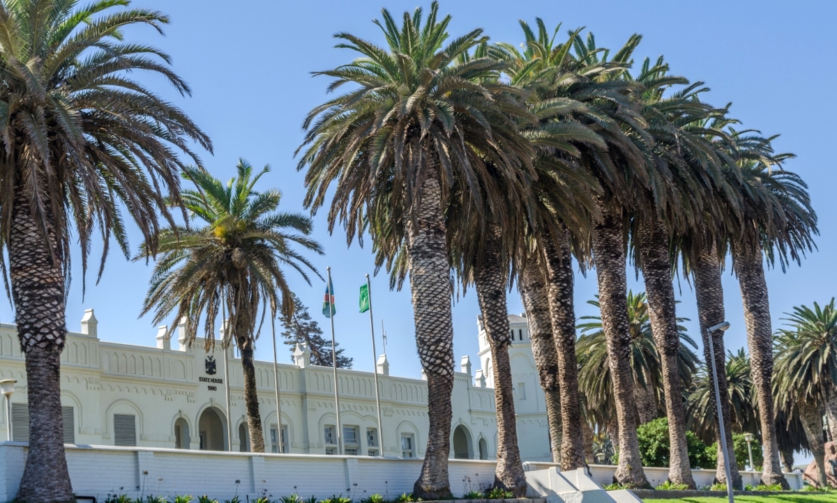 Palmeiras das canárias plantadas em um jardim em frente à uma estrutura predial de cor branca