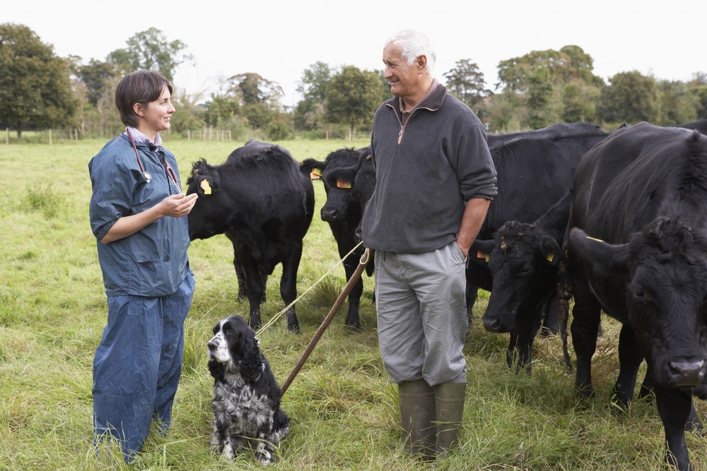 Veterinária, com traje azul e estetoscópio no pescoço, passando orientações ao pecuarista que segura cachorro pela coleira. Atrás, rebanho bovino, todos de cor preta, e vegetação ao fundo.