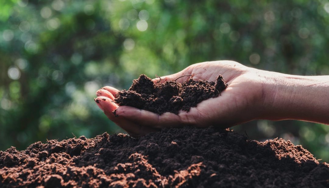 O que são tecnologias poupa-terra e por que investir nisso?