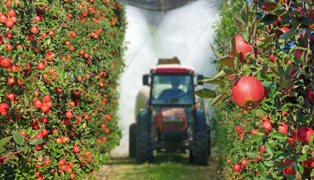 Trator hortifruti: conheça as diferenças e  funcionalidades