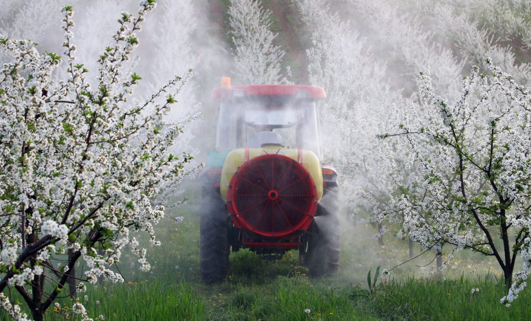 Trator hortifruti com pulverizador em operação