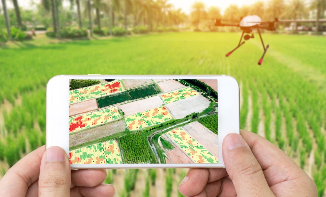 Homem segurando celular contendo imagem capturada por drone e mapas RGB. Ao fundo, plantação e drone a sobrevoando.