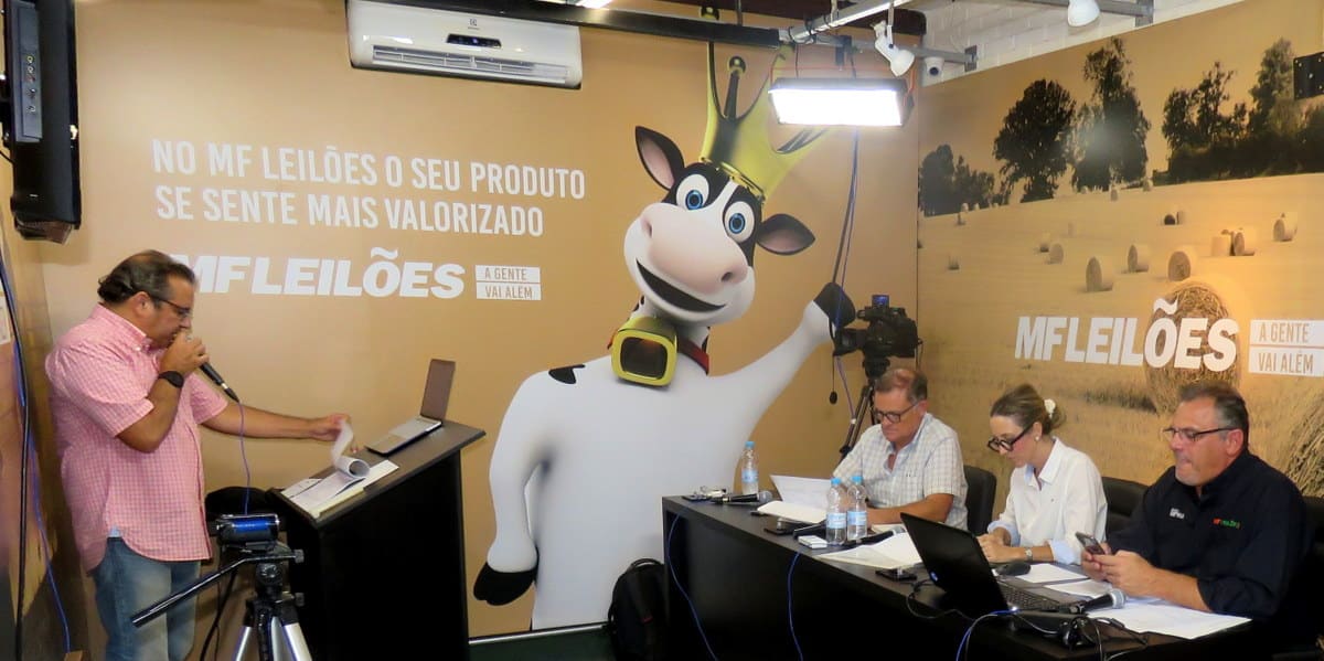 Estúdio de transmissão dos leilões pelo MF Leilões. O estúdio conta com mesa composta por três pessoas, sistema de iluminação e câmera, além da presença do leiloeiro.