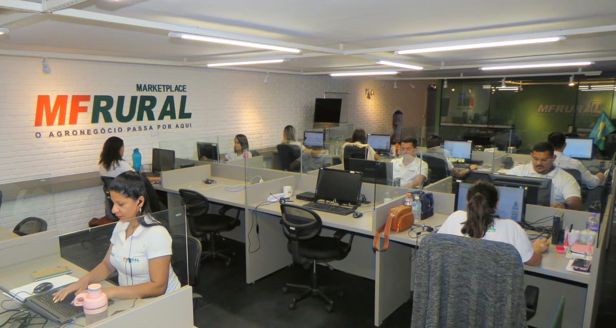 Funcionamento da plataforma de marketplace