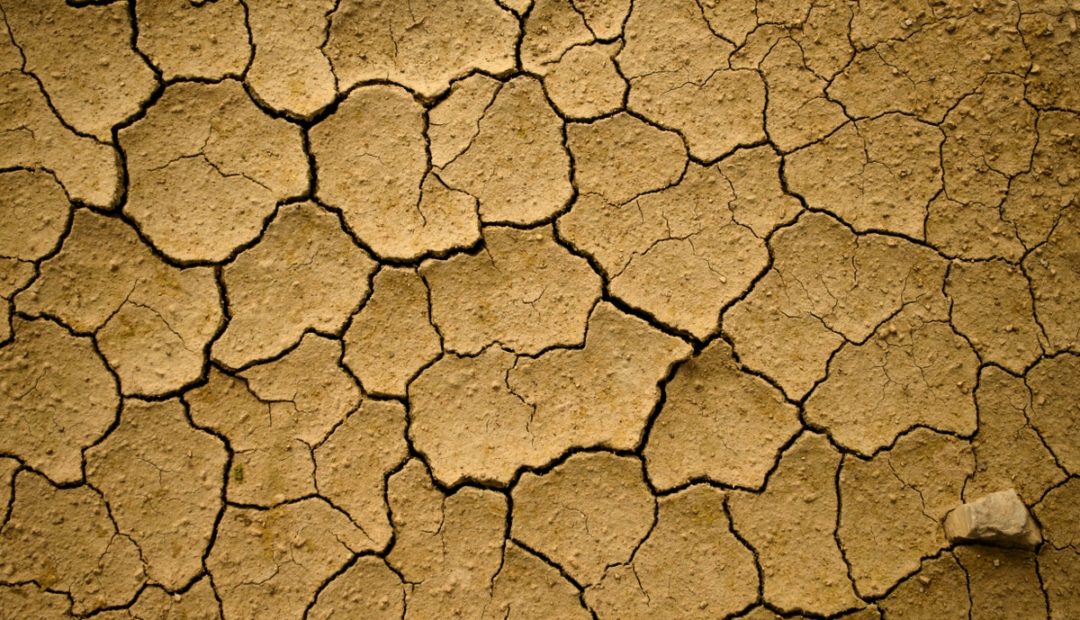 10 causas da degradação dos solos, o que fazer e como corrigi-los