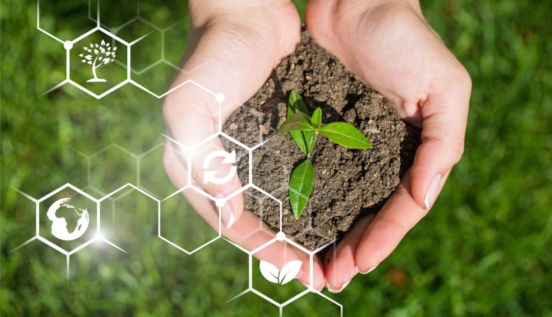 Mãos segurando um punhado de terra com uma planta