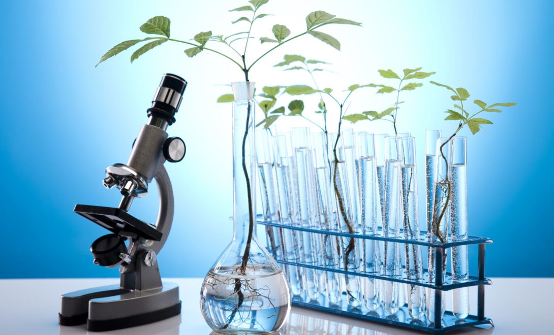 Bancada com microscópio e vidrarias com líquido transparente com plantas com raízes