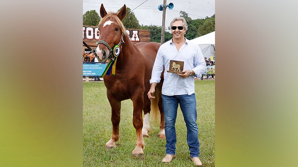 Parpineli, criador da raça Bretão, ao lado de um dos seus cavalos de coloração marrom (Alazão) durante julgamento.
