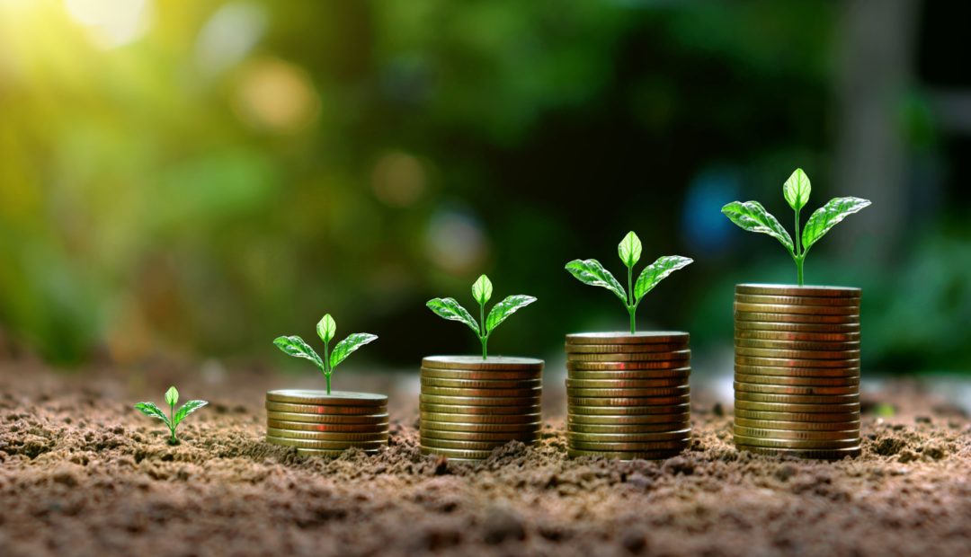 Solo com moedas empilhadas e plantas brotando sobre as pilhas de moedas.