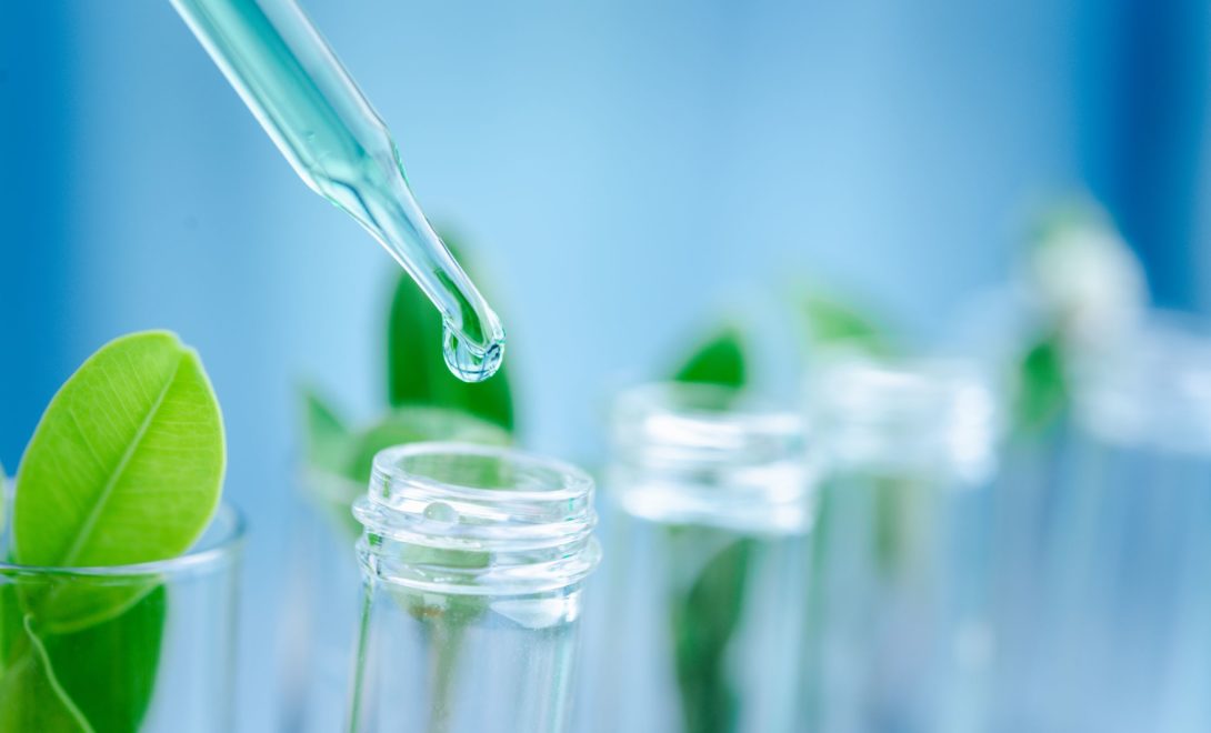 Tubos de ensaio com plantas dentro e pipeta de vidro com líquido transparente