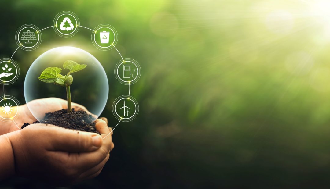 Mãos segurando terra com muda de planta. Ao redor, círculos contendo símbolos como sol, sustentabilidade, painel de energia solar, reciclagem, lixo reciclável, combustível e energia eólica.