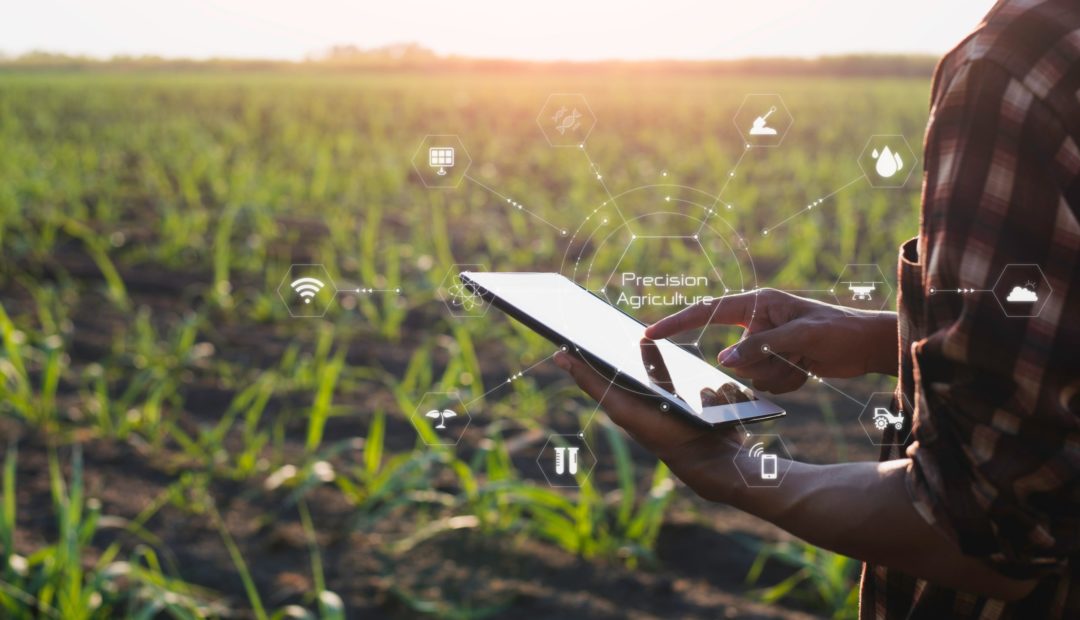 Homem segurando tablet em campo