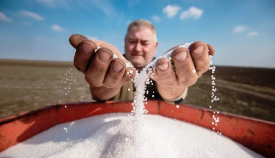 Nitrogênio: funções, fontes, manejo e sintomas de deficiência e excesso