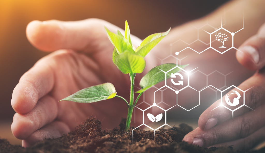 Mãos ao redor de muda plantada em terra com ícones hexagonais ao lado com símbolos que remetem à sustentabilidade.