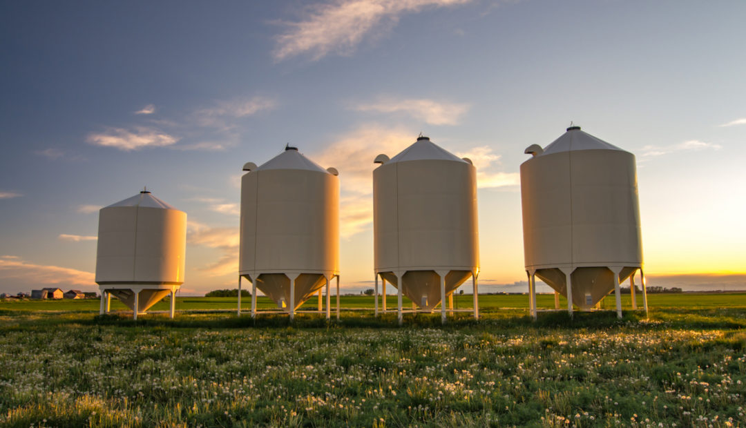 Mortes em silos: alternativas para evitar acidentes