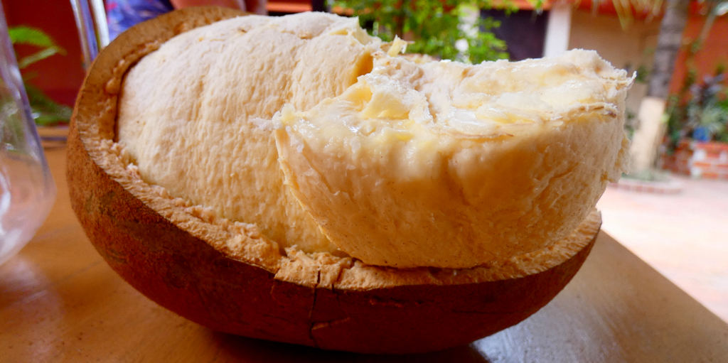 Cupuaçu cortado ao meio, mostrando sua casca marrom e polpa de cor clara.