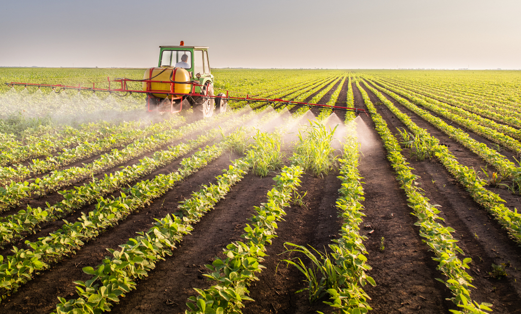 Causas e consequências da fitotoxicidade nas culturas agrícolas
