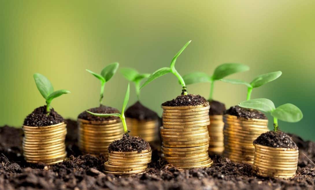 Montes de moedas empilhadas sobre terra com pequenas plantas sobre elas.