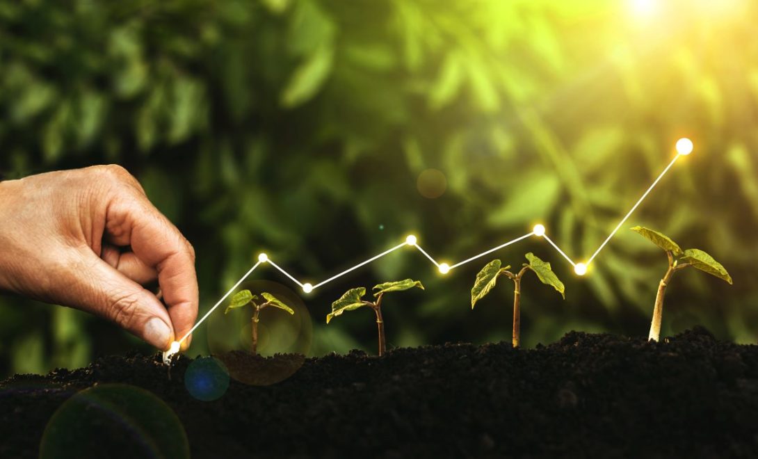 Mão plantando semente e uma sequência de plantas cada vez maiores, simulando o seu crescimento. Acima uma linha acompanha o crescimento das plantas.