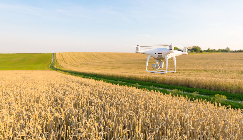 Drone sobrevoando plantação.