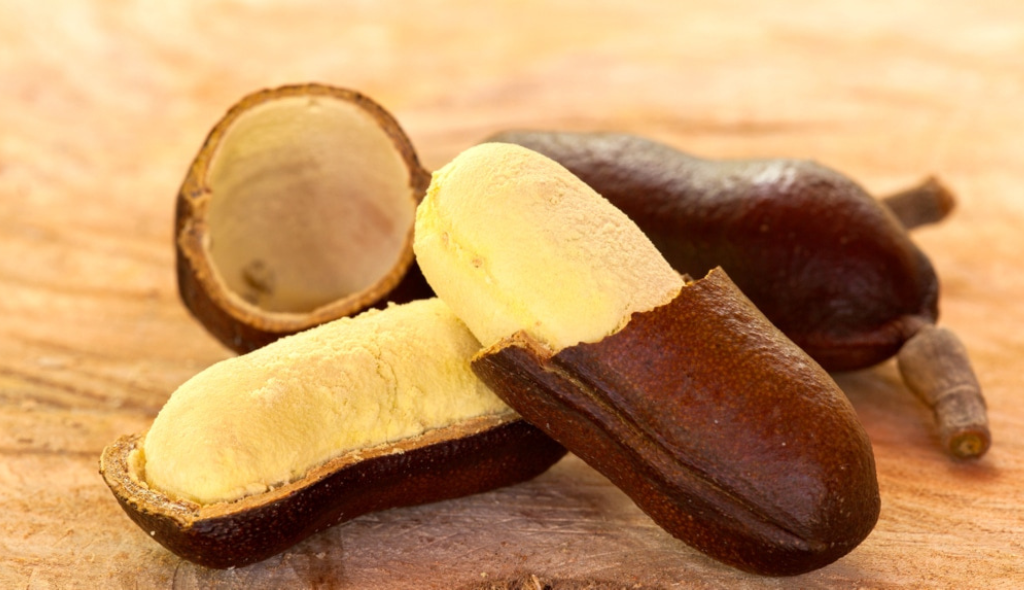 Frutos de jatobá com metade da casca quebrada, mostrando a polpa.