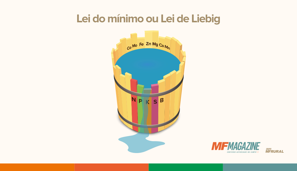 Representação da Lei do mínimo ou lei de Liebig