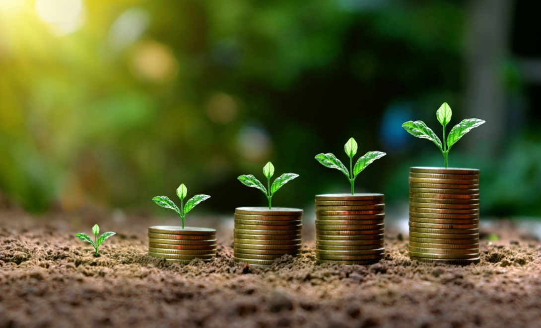 Quatro pilhas de moedas enfileiradas com plantas em cima