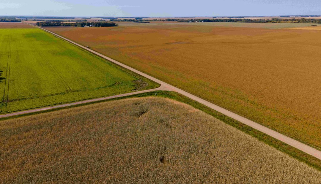 Hectare x alqueire: entenda tudo sobre as medidas de terra