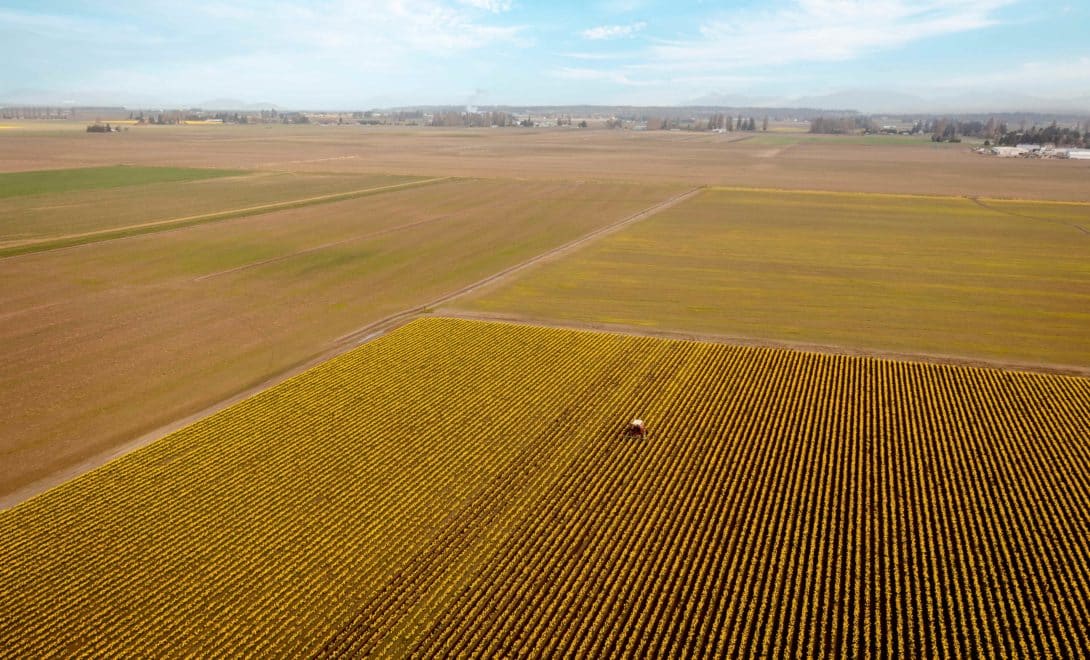 Imagem aérea de talhões cultivados