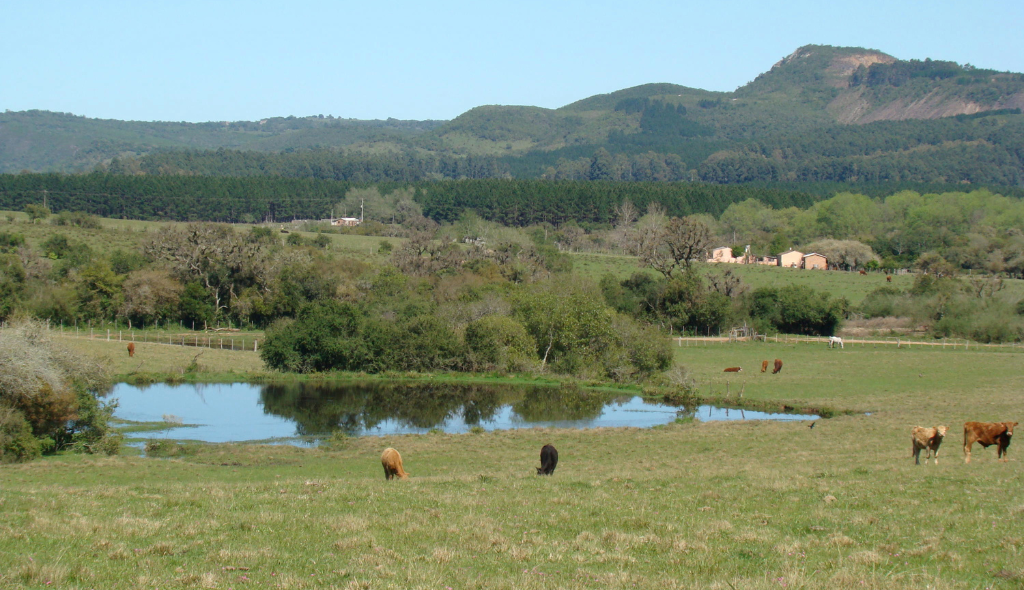 Propriedade rural vista à distância 