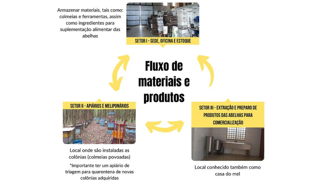 Esquema de estruturação básica para iniciar na atividade de criação de abelhas