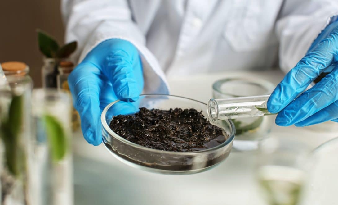 Pessoa segurando amostra de solo em vidro de laboratório