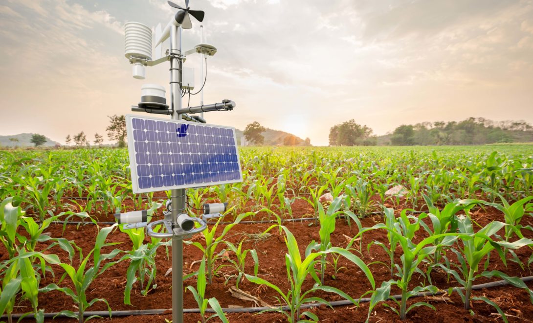 Estação meteorológica automática em campo de milho