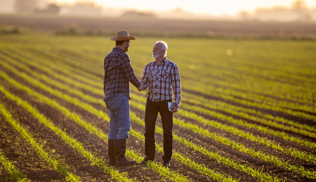Contratos agrários atípicos: principais aspectos do contrato de comodato rural